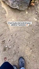 🍁 Au cœur de Charlevoix, le parc national des Hautes-Gorges-de-la-Rivière-Malbaie se transforme en véritable tableau vivant à l’automne