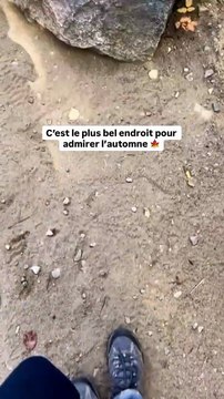 🍁 Au cœur de Charlevoix, le parc national des Hautes-Gorges-de-la-Rivière-Malbaie se transforme en véritable tableau vivant à l’automne