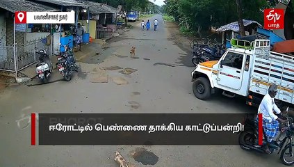 ஈரோடு மாவட்டத்தில் பெண்ணை தாக்கி, அந்தரத்தில் வீசிய காட்டுப்பன்றி!