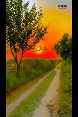 Explore the beauty of Nature | Nature with Amit