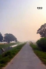 Explore the beauty of Nature | Nature with Amit