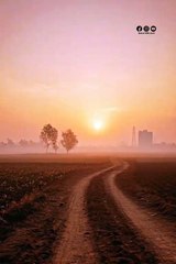 Explore the beauty of Nature | Nature with Amit