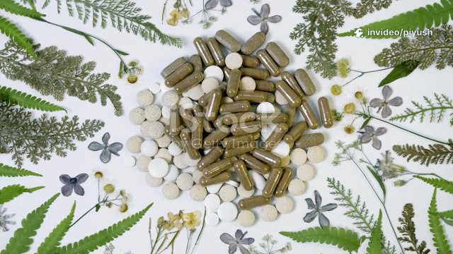 Ivitasana Officiële Website: Vind Alles Wat Je Moet Weten