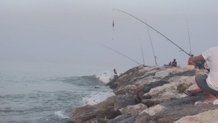 Rat accidentally caught by fisherman on breakwater turns a fishing trip into unexpected chaos