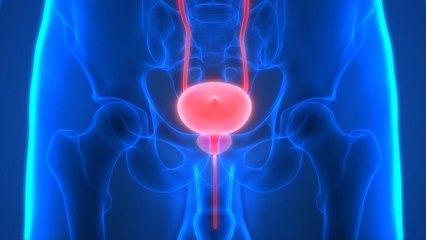 Tumore alla vescica, sangue nelle urine il campanello d?allarme