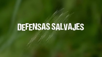 Documental - Defensas Salvajes - Lucha cuerpo a cuerpo - 💥 3 Defensas Salvajes que Necesitas Saber Para Sobrevivir Hoy (Lucha Cuerpo a Cuerpo)