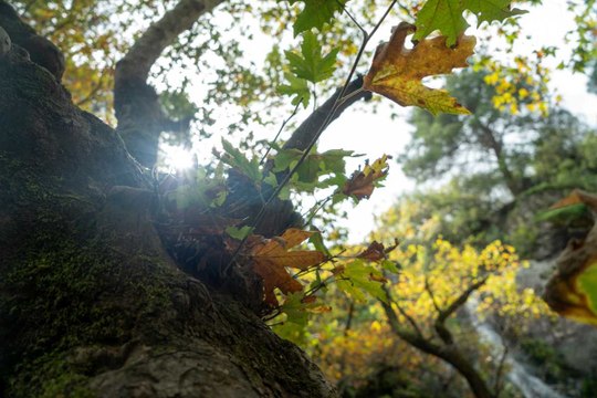 Adeta bir doğal stüdyo: Şelaleler göz kamaştırıyor