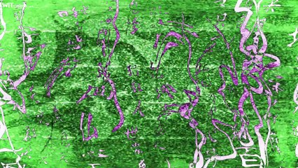 [Witanime.com] JSN2025 EP 13 END FHD