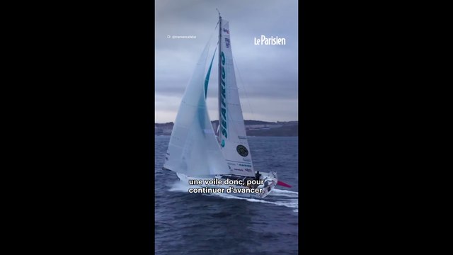 Un avion déchire la voile de deux skippers belges