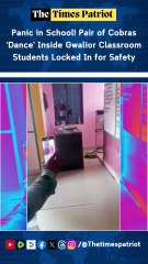 Panic in School! Pair of Cobras ‘Dance’ Inside Gwalior Classroom — Students Locked In for Safety