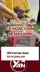 CĐM tranh luận chuyện thả rắn phóng sinh