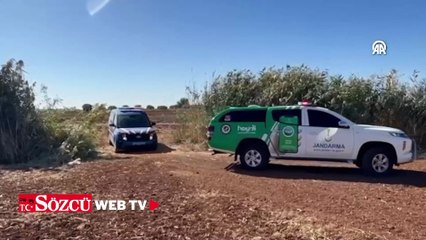 Kilis'te yaralı bulunan kızıl şahin koruma altına alındı