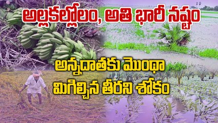 Cyclone Montha | మిగిల్చిన నష్టం, అరటి రైతుల ఆశలు ఆవిరి | Oneindia Telugu