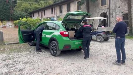 Il Parco Natura Viva accoglie 21 tarantole sequestrate dai carabinieri
