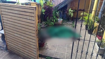 Investigação sobre o assassinato de Simone Marques da Silva: O mistério por trás dos múltiplos disparos