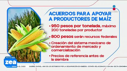 Sheinbaum informa acuerdo con agricultores de Jalisco, Guanajuato y Michoacán