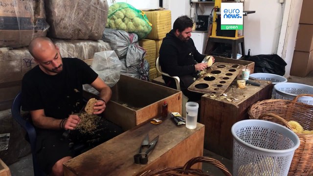 Grecia, la pesca delle spugne sull'isola di Calimno tra tradizione e ricchezza economica