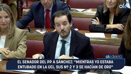 El senador del PP a Sánchez: "Mientras yo estaba entubado en la UCI, sus nº 2 y 3 se hacían de oro"