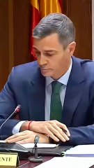 PEDRO SÁNCHEZ, tacha de "circo" la comisión, lo que ha provocado tensión en distintas ocasiones