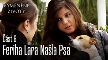 Feriha Lara Našla Psa - Vyměněné životy  Feriha 6.díl