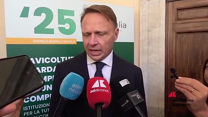 Ue-Mercosur, Lollobrigida: 'governo fara' di tutto per proteggere avicoltura, Il 31 incontriamo Sefcovic'