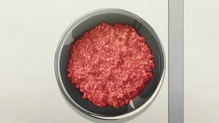 EP.01 [ENGLISH DUB] Campfire Cooking in Another World with My Absurd Skill Season 2