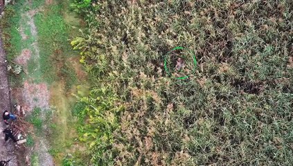 Fugitives Caught on Tape S02E07