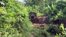 Best D6R XL Bulldozer Service to Repair Old Plantation Roads