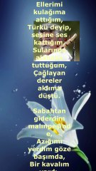 Aklıma Düştü - Ozan Arif