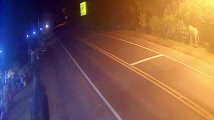 Vídeo mostra acidente entre carro e caminhão que matou três em SC