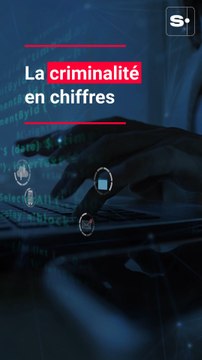 Vols, agressions, fraude... : la criminalité en chiffres