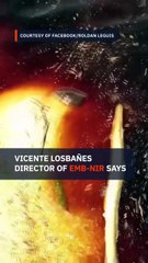 Negros Oriental molasses spill spread over 3,000 hectares | The wRap