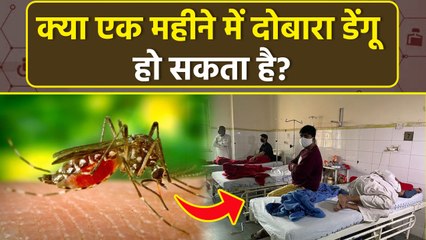 Dobara Dengue Ho Sakta Hai Kya, क्या एक महीने में दोबारा डेंगू हो सकता है...|Boldsky