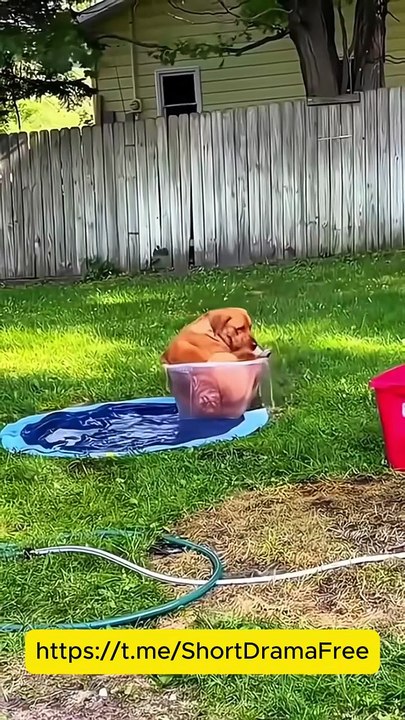 The Deadly Prince Engsubtitles mydrama