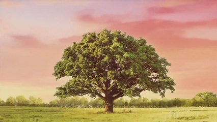 Na miłość nie ma recepty - 73