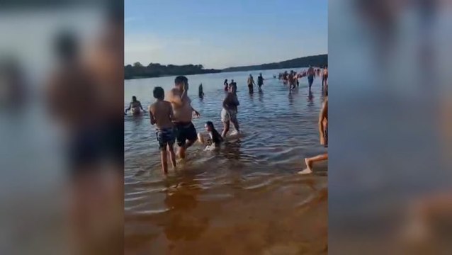 7-Month-Old Baby Reportedly Loses Part of Their Toe After Piranhas Attack Swimmers at River Resort