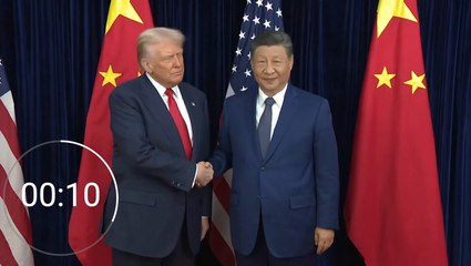 Trump and China’s President Xi shake hands for 27 seconds during Asia summit