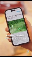 Animal Whisperer, Crime Solver Engsub