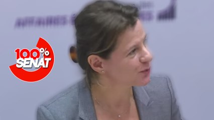 100% Sénat - Energie : Audition de la directrice générale d'Engie, Catherine Mac Gregor