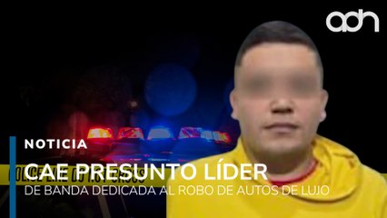 Detienen a líder dedicada al robo de autos de lujo, recuperan 18 vehículos de lujo
