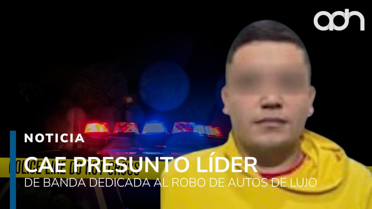 Detienen a líder dedicada al robo de autos de lujo, recuperan 18 vehículos de lujo