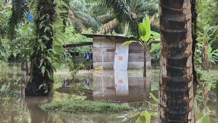 Autoridades llevan ayuda a comunidades afectadas por inundaciones en Veraguas, Chiriquí y Los Santos