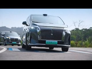 2025 Wey Gaoshan 8 & 9: Luxus-Vans aus China mit 458 PS im Check