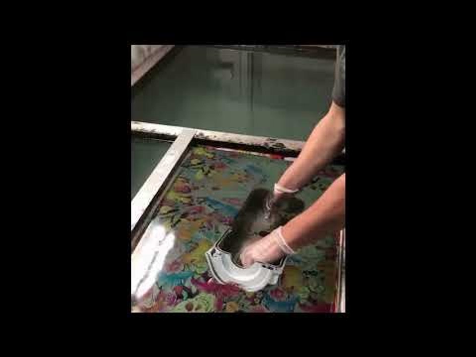 Tuning Electrophoretic Painting, Electrocoating, Electropainting, E Coating