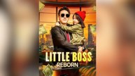 Little Boss Reborn Full Movies
