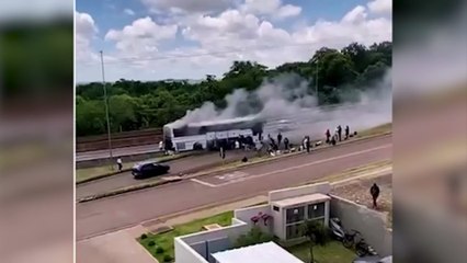 Ônibus vira bola de fogo na BR 277 e compristas lutam para salvar compras; veja o vídeo