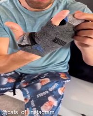 Des Chats Vraiment Très, Très Malins_1753538256