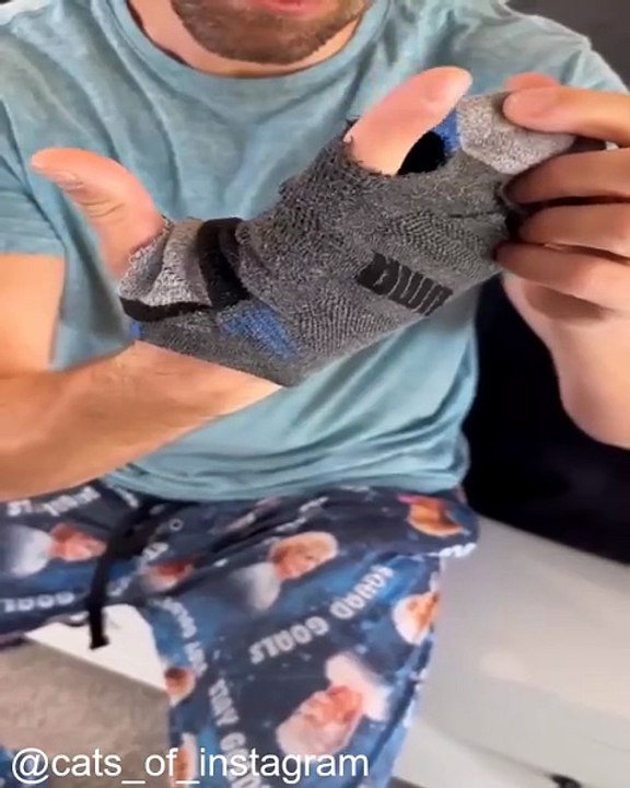 Des Chats Vraiment Très, Très Malins_1753538256