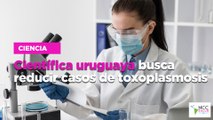 Científica uruguaya busca reducir casos de toxoplasmosis