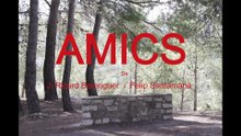 AMICS V.O.